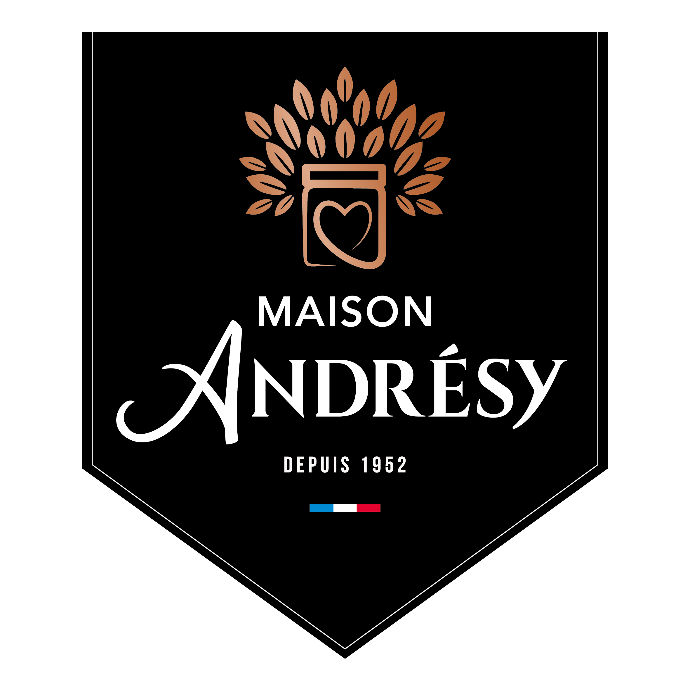 logo-Andresy-FOOTER