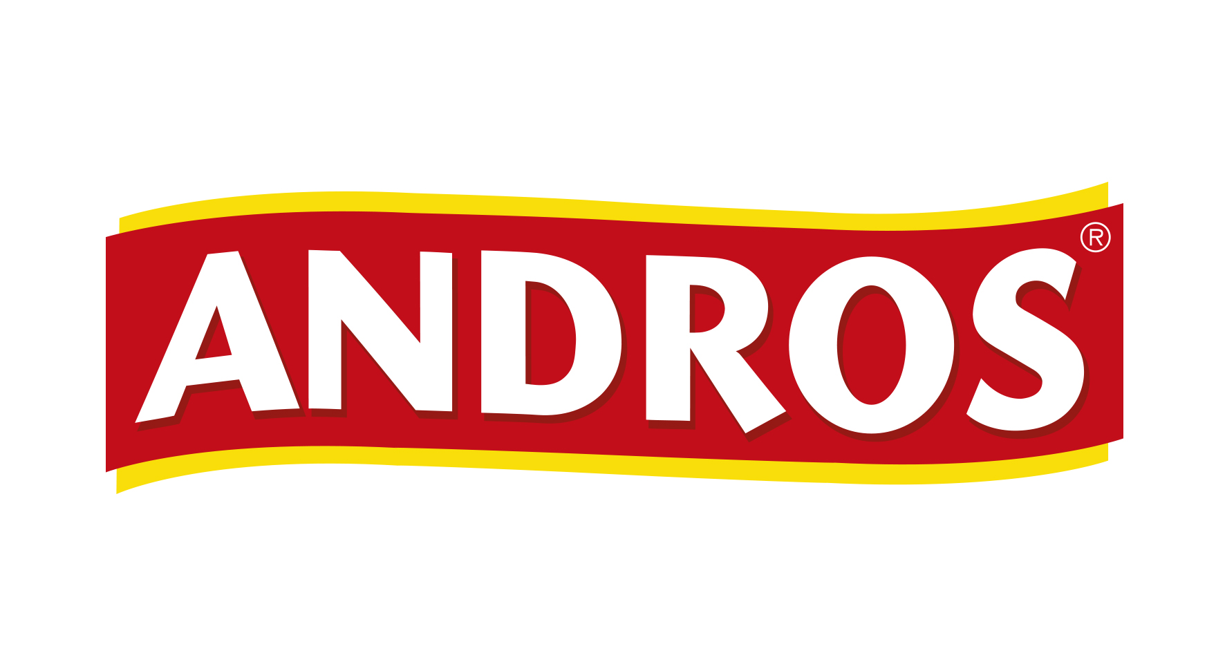 LOGO ANDROS FRANCE